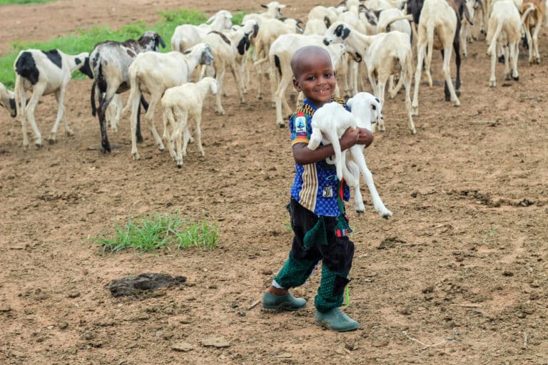 Enfant et troupeau