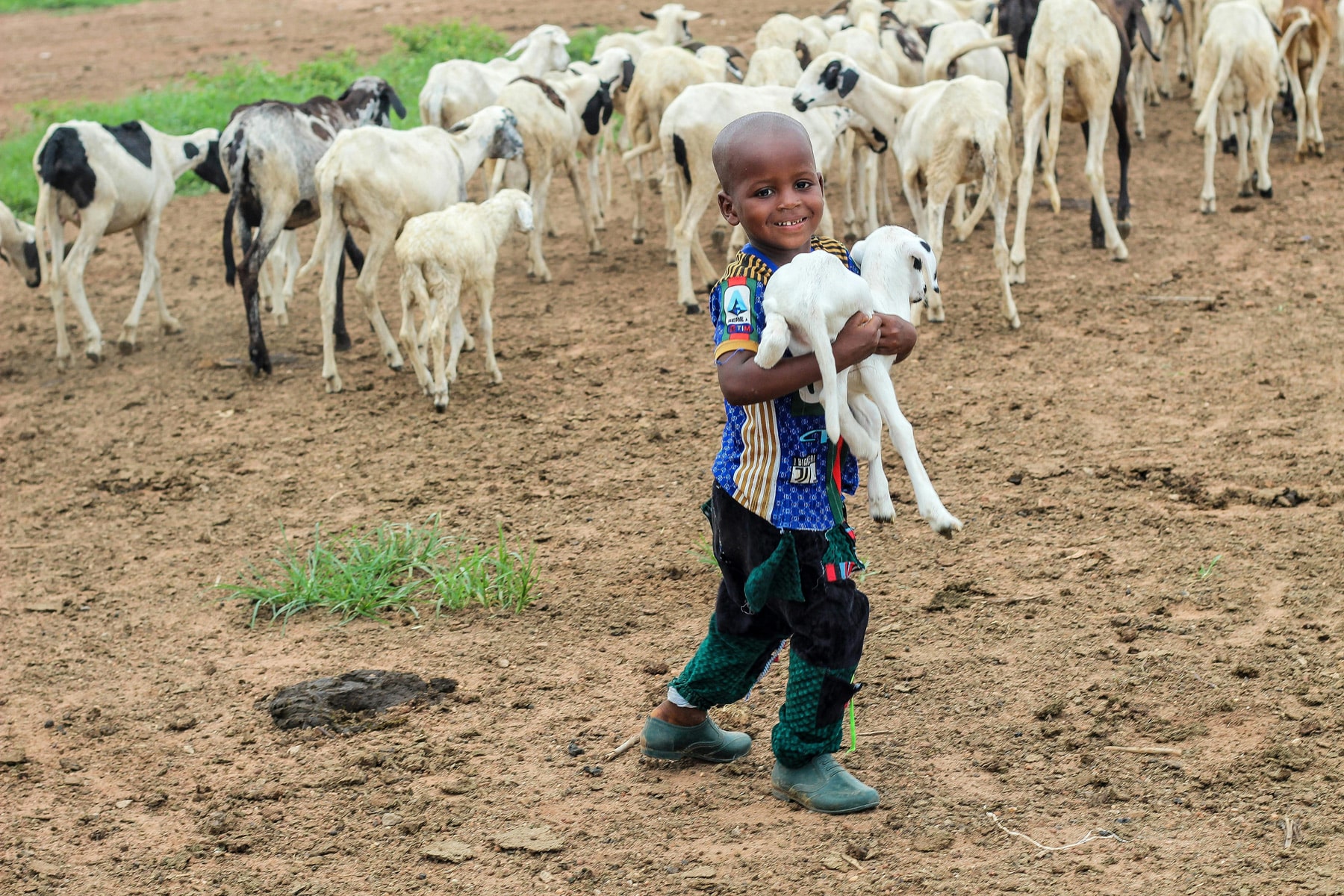 Enfant et troupeau