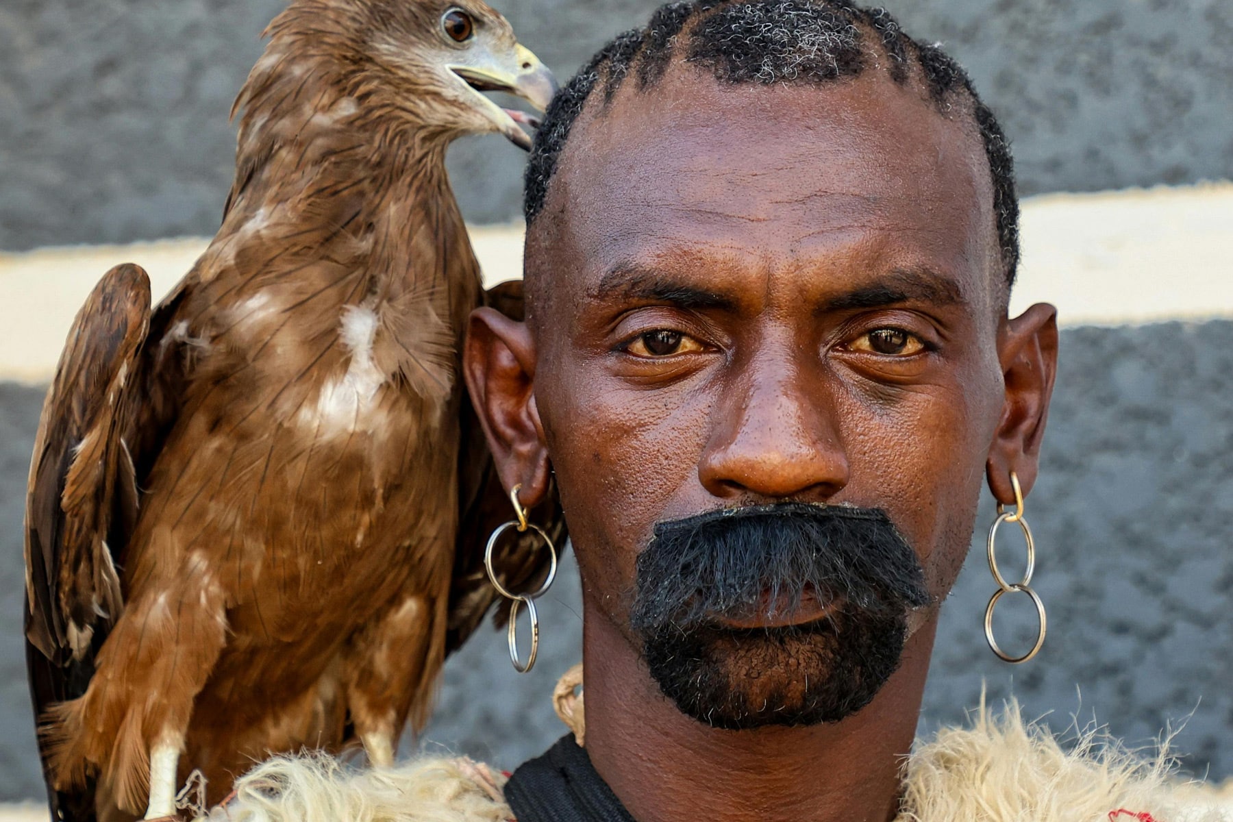 Une personne avec un oiseau qui lui picore dans la tête...